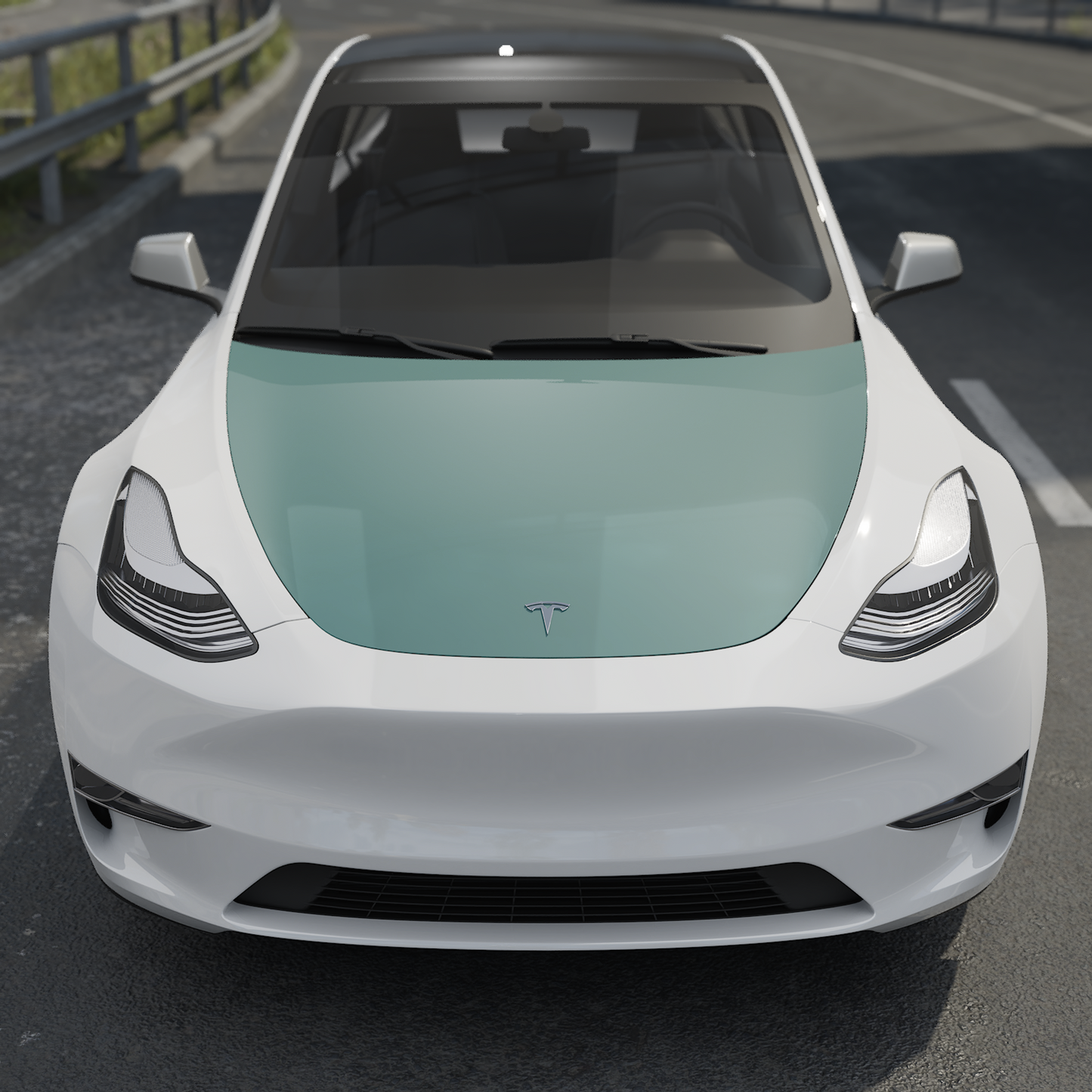 Model Y Pre-Cut DIY Paint Protection Film PPF for the hood